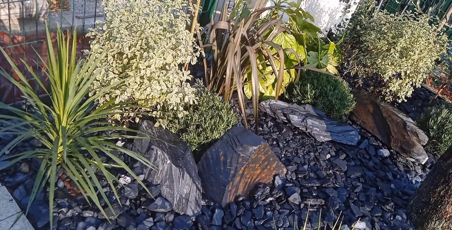 Équilibre pierres & végétation